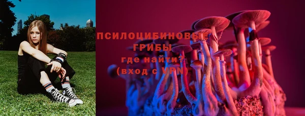 стаф Балахна