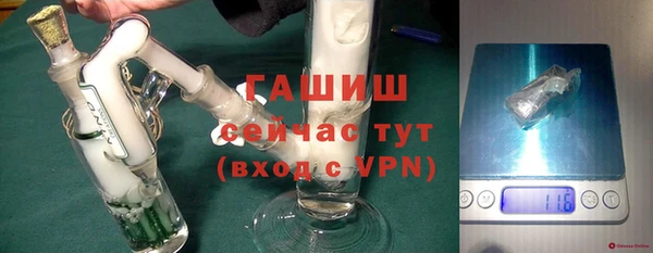 стаф Балахна