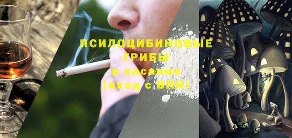 стаф Балахна