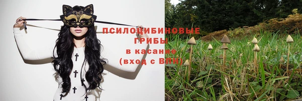 каннабис Баксан