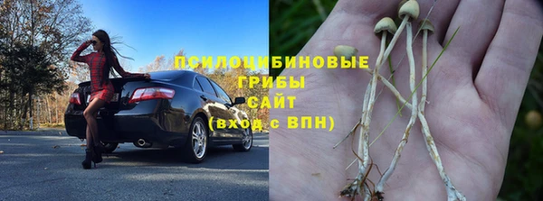 каннабис Баксан