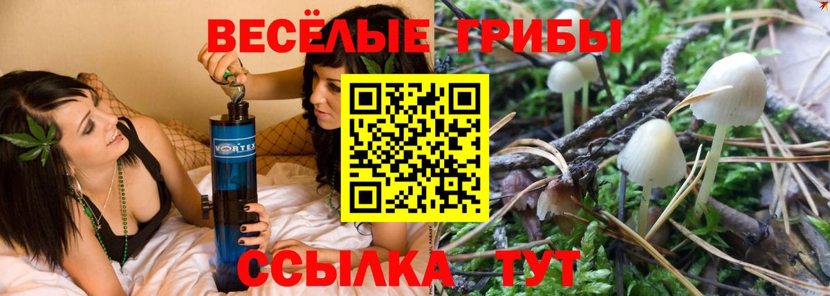 купить закладку  Вход с VPN  Саяногорск  Псилоцибиновые грибы мухоморы 